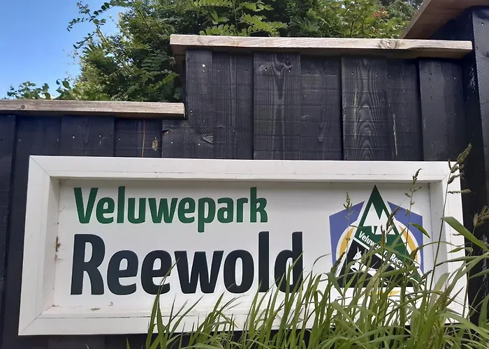 Genieten Op De Veluwe Van Rust En Natuur